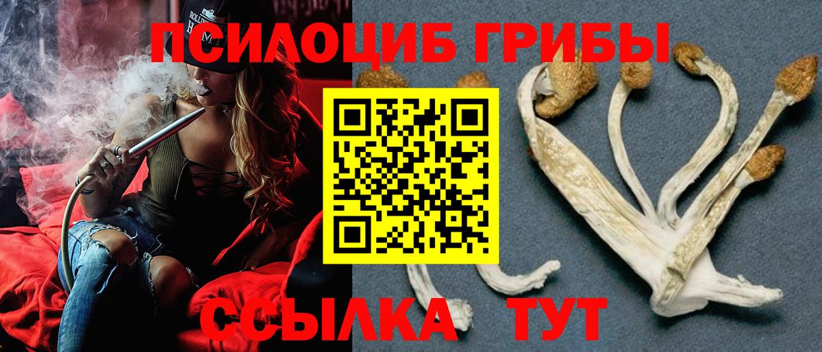 Псилоцибиновые грибы Psilocybe  Галлюциногенные грибы мухоморы  Вход с VPN  Кизилюрт 